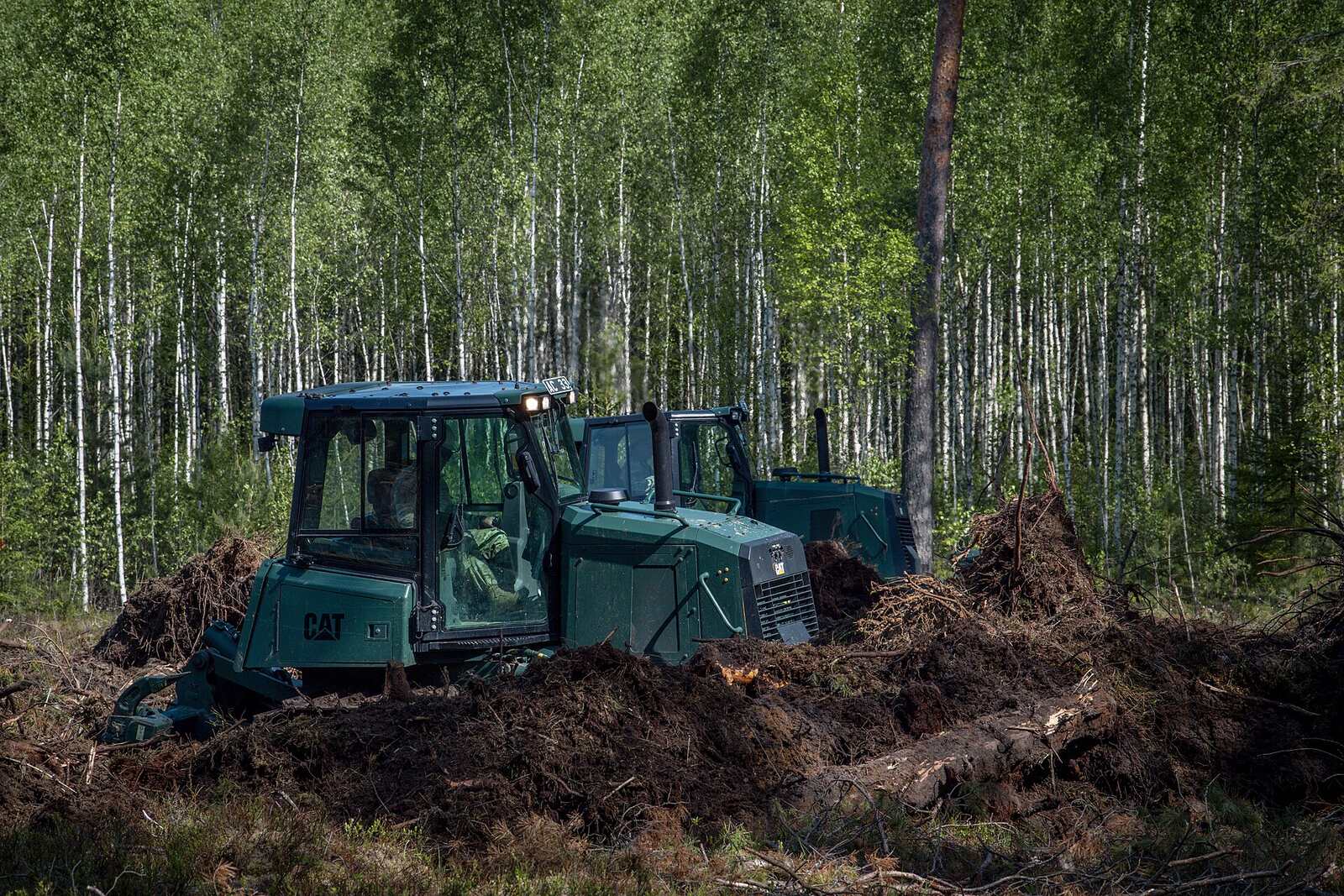 Two dozers working along the edge of standing timber, cleared ground and root balls in front of them.