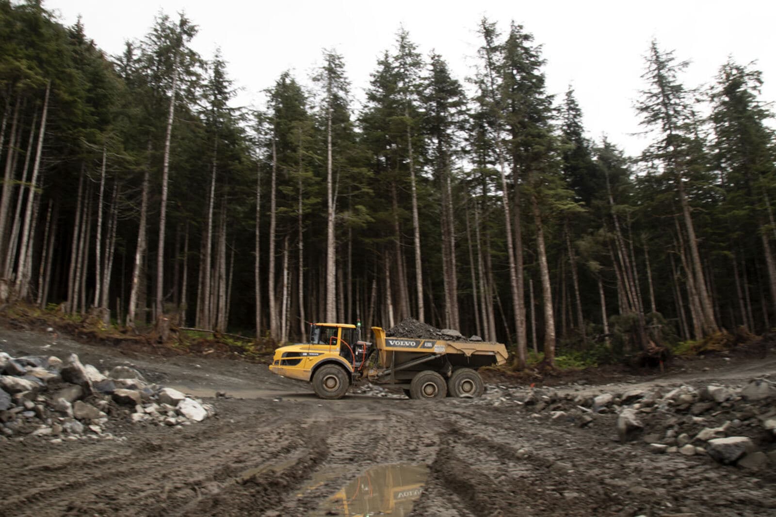Cleared ground with stumps and rock, a haul truck working at the edge of standing timber.